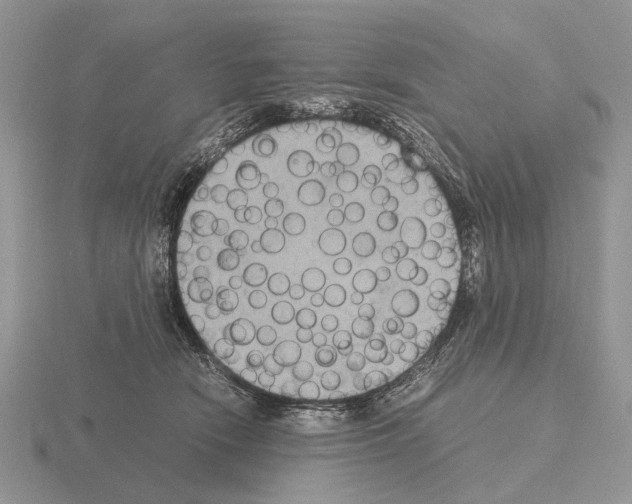 X0000115390466200912151503