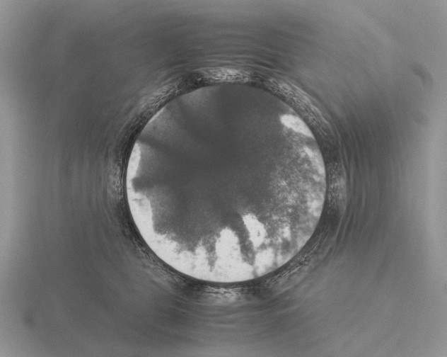 X0000115390469200912151503