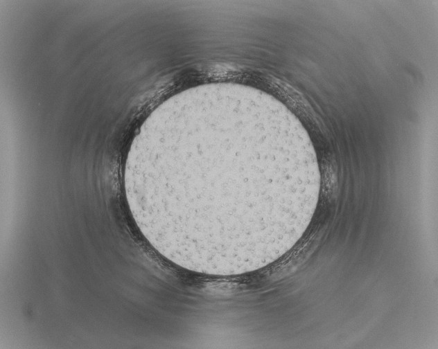 X0000115390470200912151503