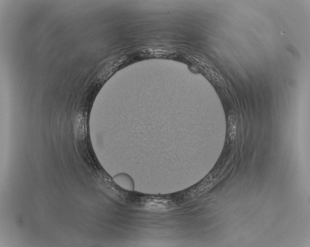 X0000115390471200912151503