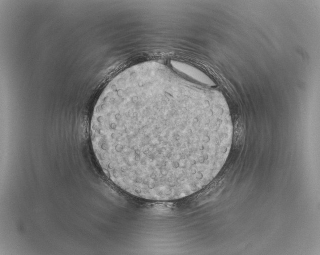 X0000115390474200912151503