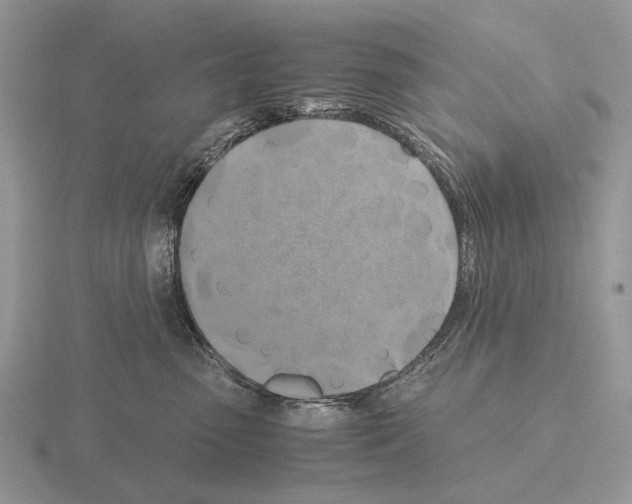 X0000115390475200912151503