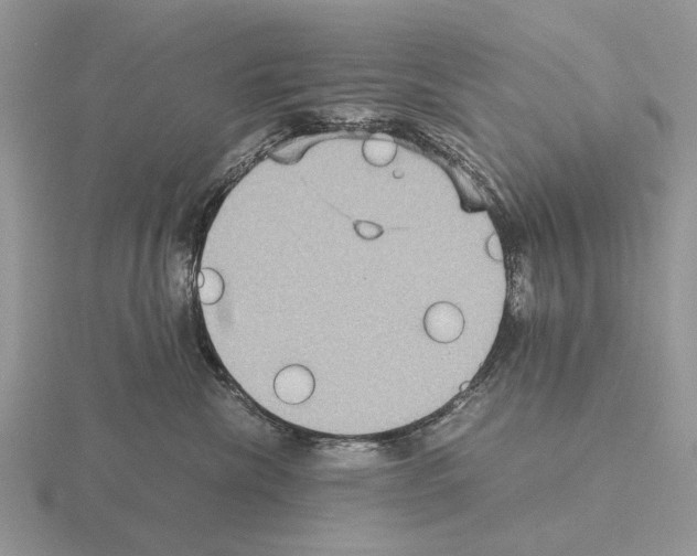 X0000115390476200912151503