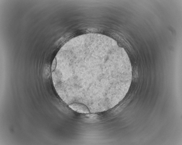 X0000115390478200912151503