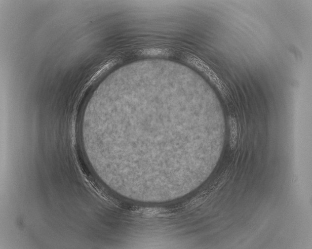 X0000115390482200912151503