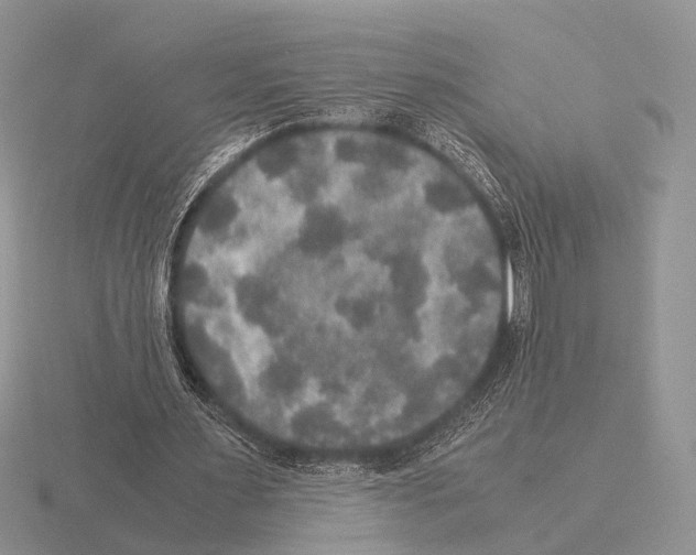 X0000115390483200912151503