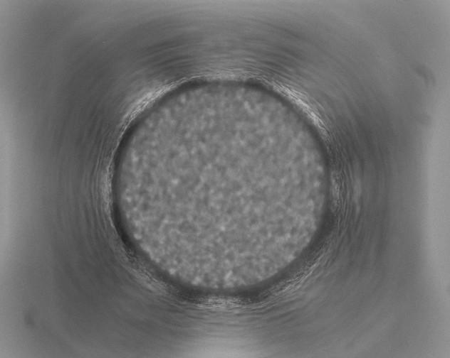 X0000115390487200912151502