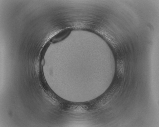 X0000115390488200912151502