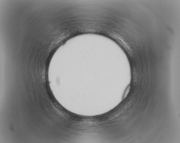 X0000115390489200912151502