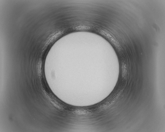 X0000115390490200912151502