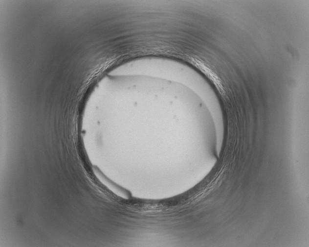 X0000115390493200912151502