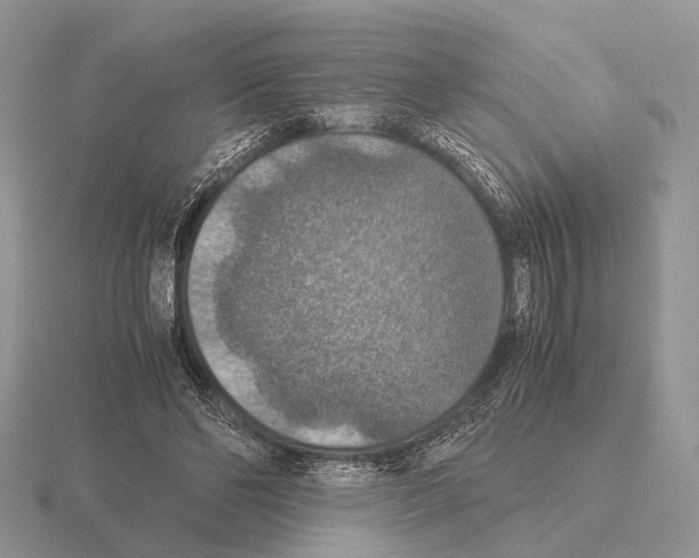 X0000115390494200912151502