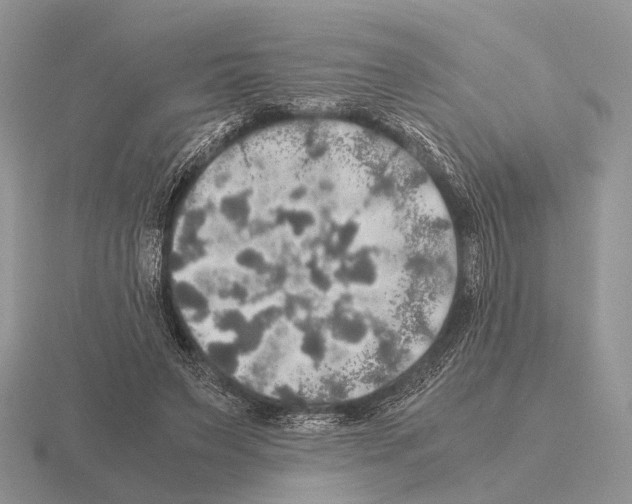 X0000115390495200912151502