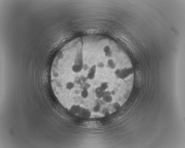 X0000115390499200912151502