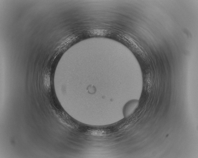 X0000115390500200912151502