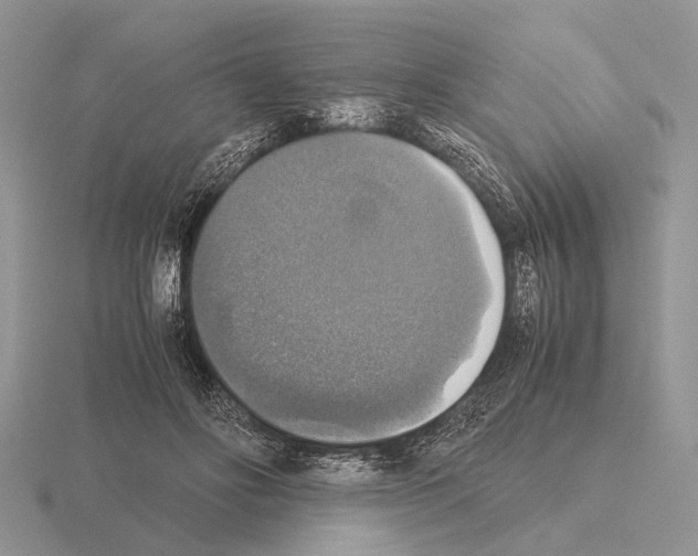 X0000115390502200912151502