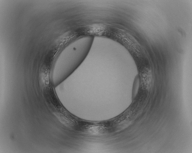 X0000115390504200912151502