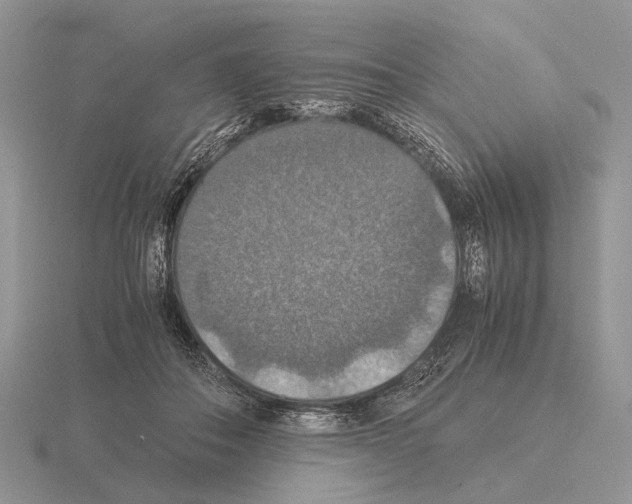 X0000115390506200912151502