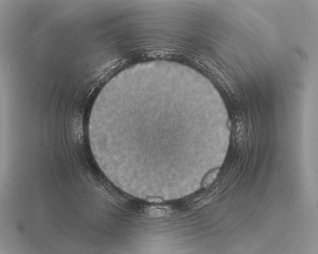 X0000115390508200912151502