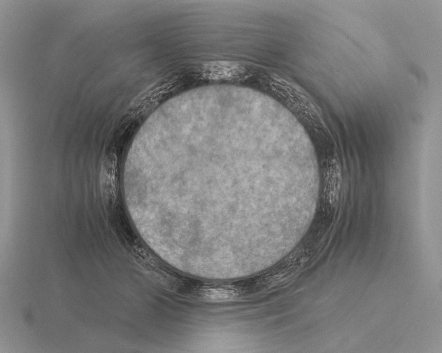 X0000115390510200912151502