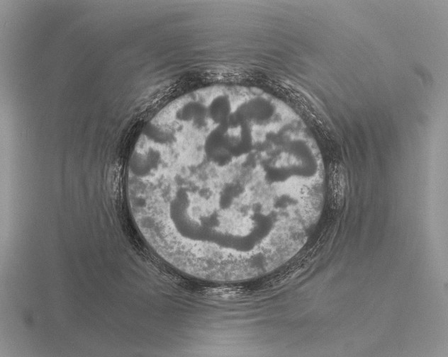 X0000115390511200912151502