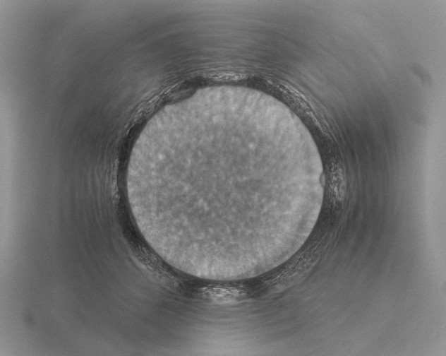 X0000115390512200912151502