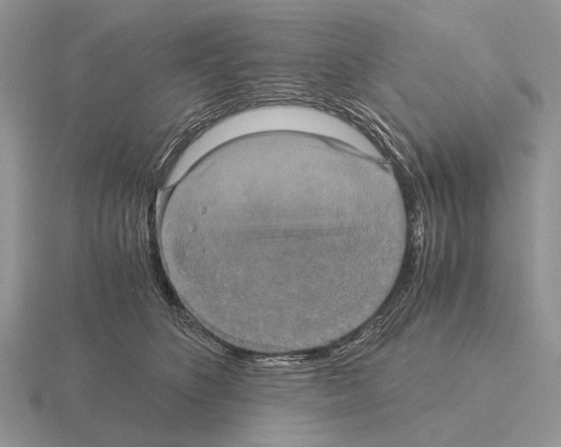 X0000115390516200912151502