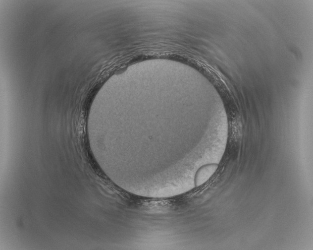 X0000115390517200912151502