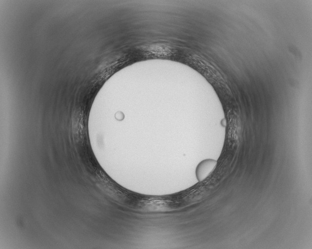 X0000115390518200912151502