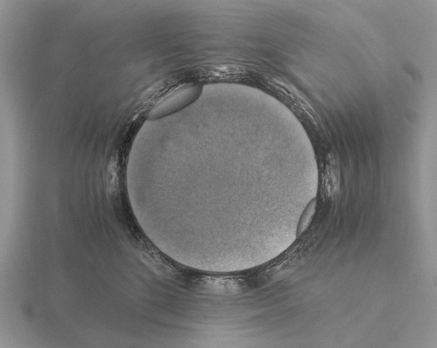 X0000115390520200912151502