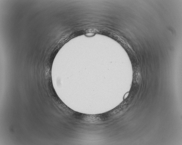 X0000115390521200912151502