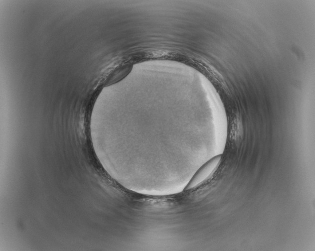 X0000115390524200912151502