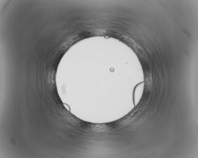 X0000115390525200912151502