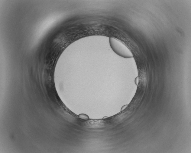 X0000115390526200912151502