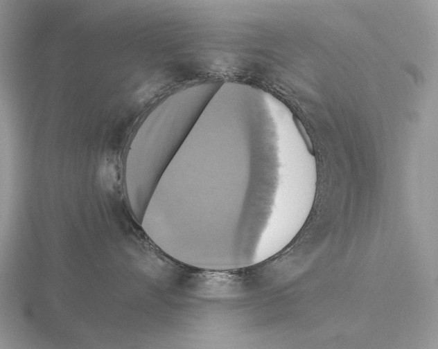 X0000115390528200912151502