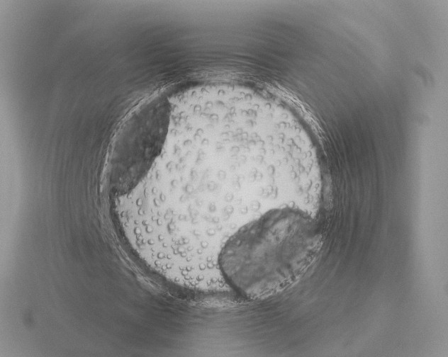 X0000115390529200912151501