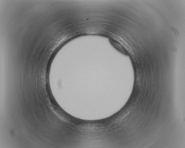 X0000115390530200912151501