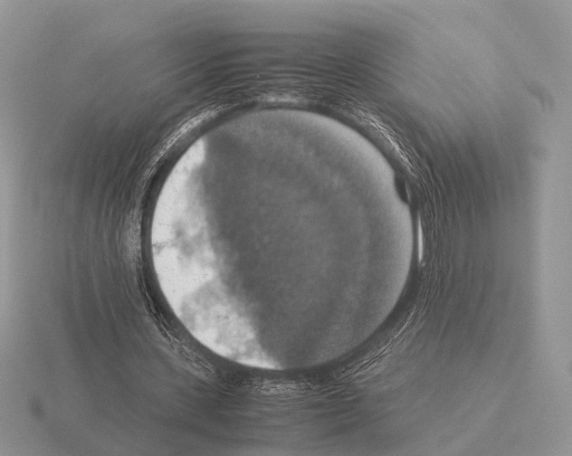 X0000115390531200912151501