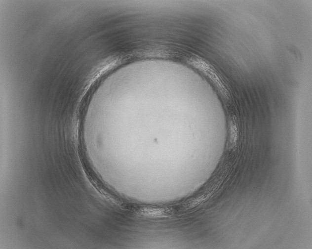 X0000115390534200912151501