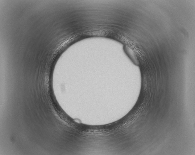 X0000115390538200912151501