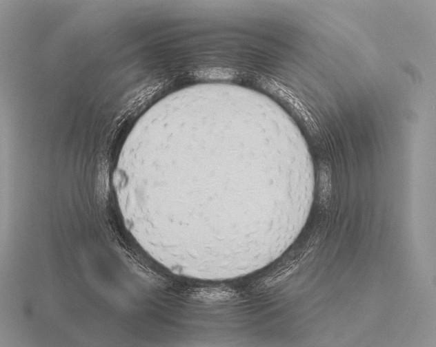 X0000115390541200912151501