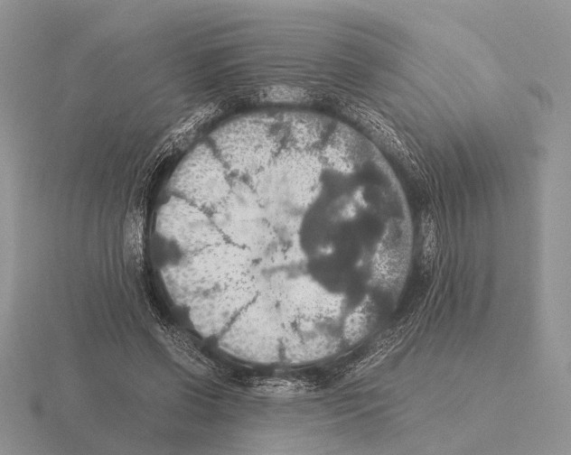 X0000115390542200912151502