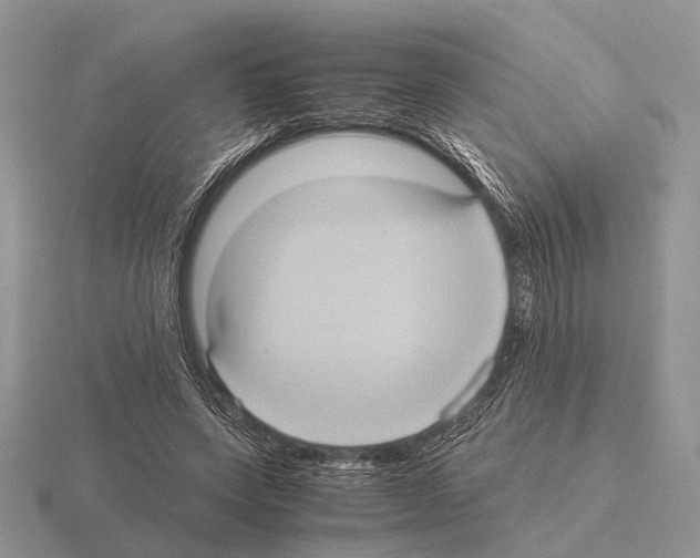 X0000115390543200912151502