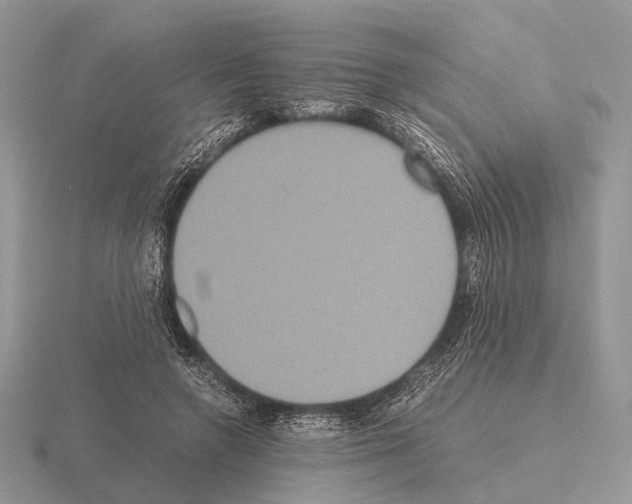 X0000115390546200912151502