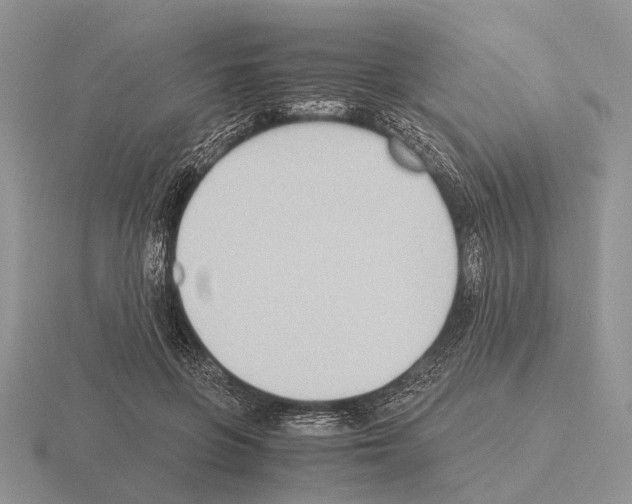 X0000115390551200912151502