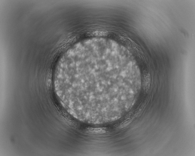 X0000115390553200912151502