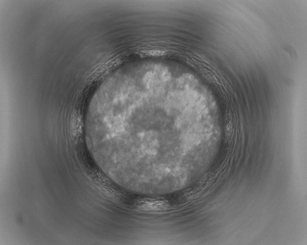 X0000115390555200912151502