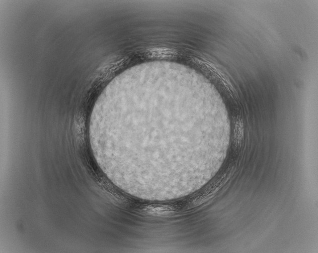 X0000115390557200912151502