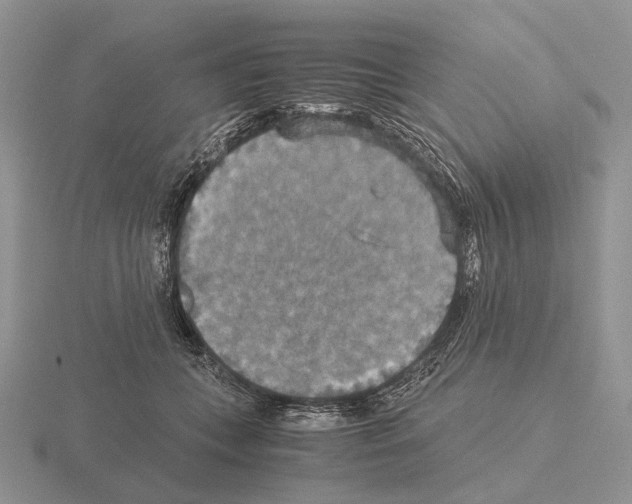 X0000115390559200912151502