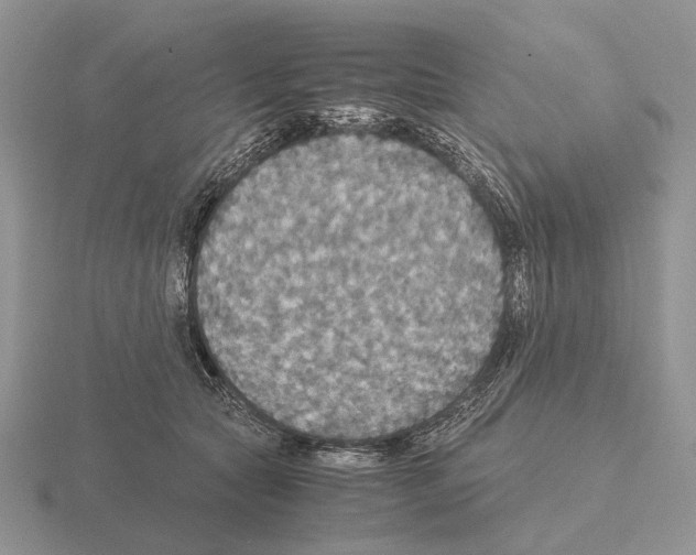 X0000115390561200912151502